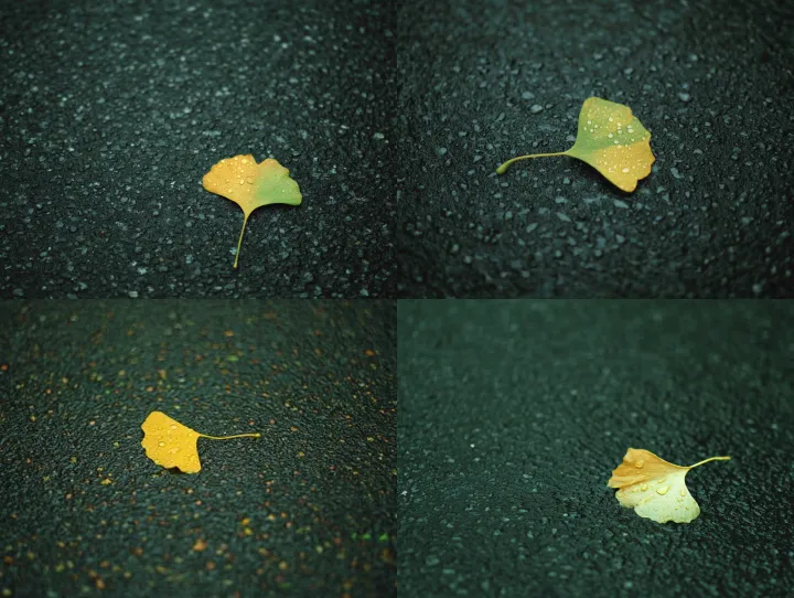 A ginkgo leaf lies on the asphalt pavement, the go