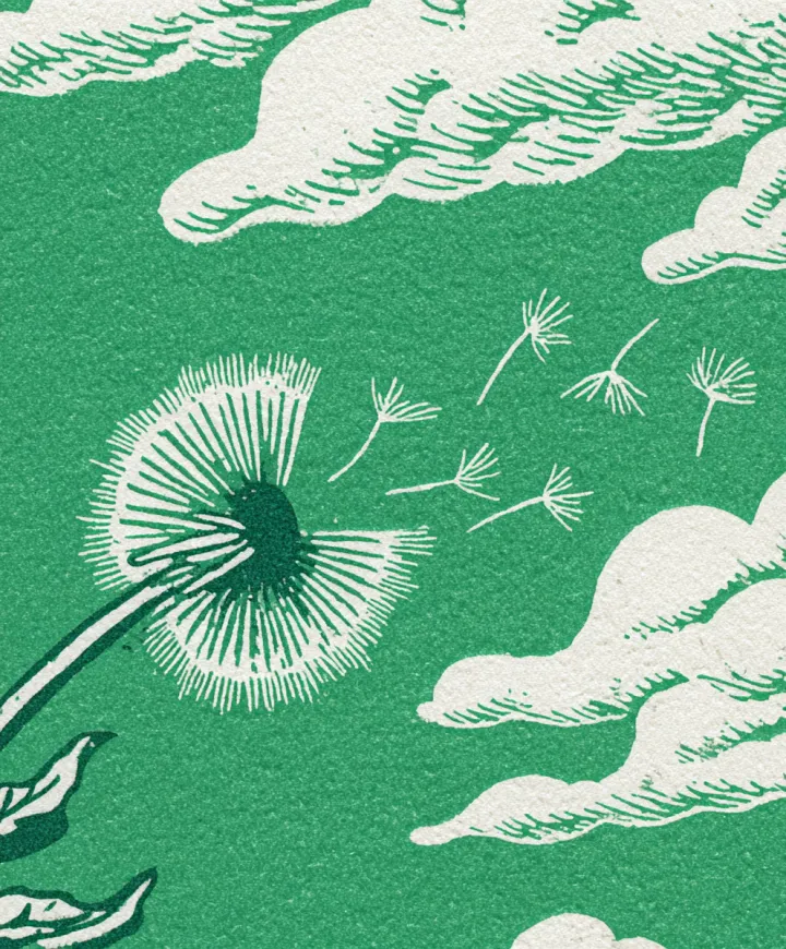 Risograph illustration of a dandelion blowing in t