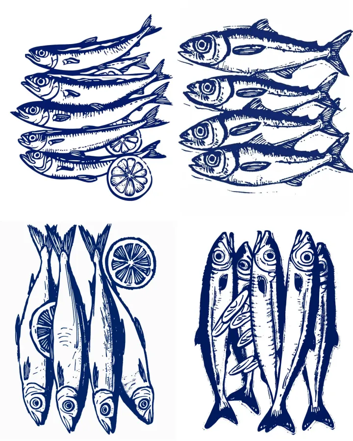 a opened can of anchovies, hand-drawn sketch, vint